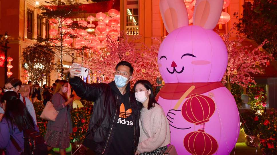 澳门天天的资料，深度解析与探索，澳门天天资料深度解析与探索之旅