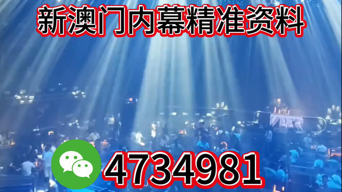 2025澳门今晚特马开奖结果大揭秘，澳门特马开奖结果揭晓，2025年今晚大揭秘