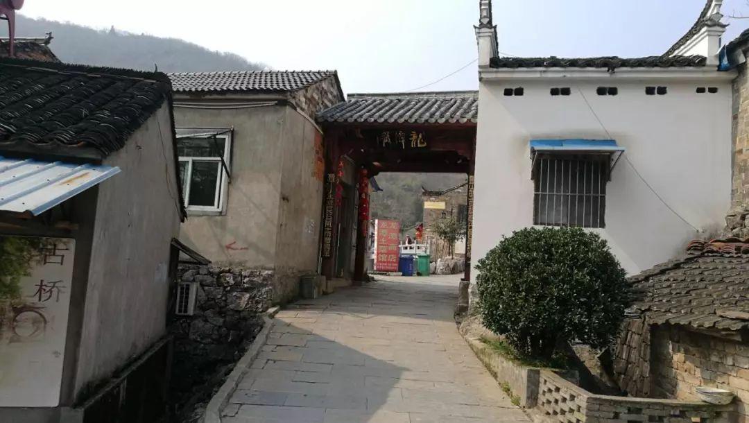 一肖最新精准资料，一肖最新精准资料揭秘