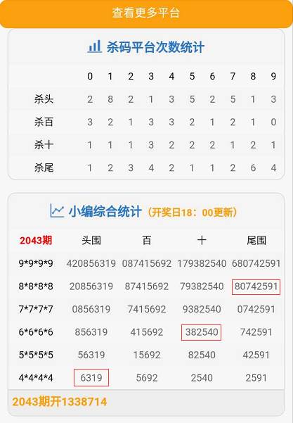 四肖八码规律公式，四肖八码规律公式揭秘