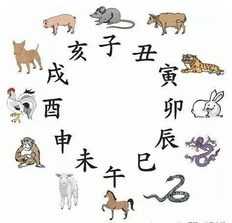 揭秘十二生肖与鲤鱼，探寻神秘的49码表图片中的秘密故事，揭秘十二生肖与鲤鱼背后的神秘故事，探寻49码表图片中的秘密之旅