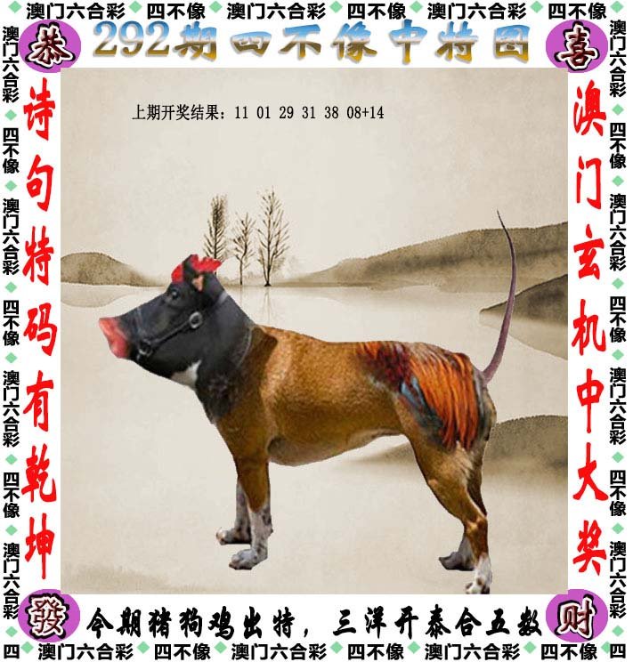 香港精准资料