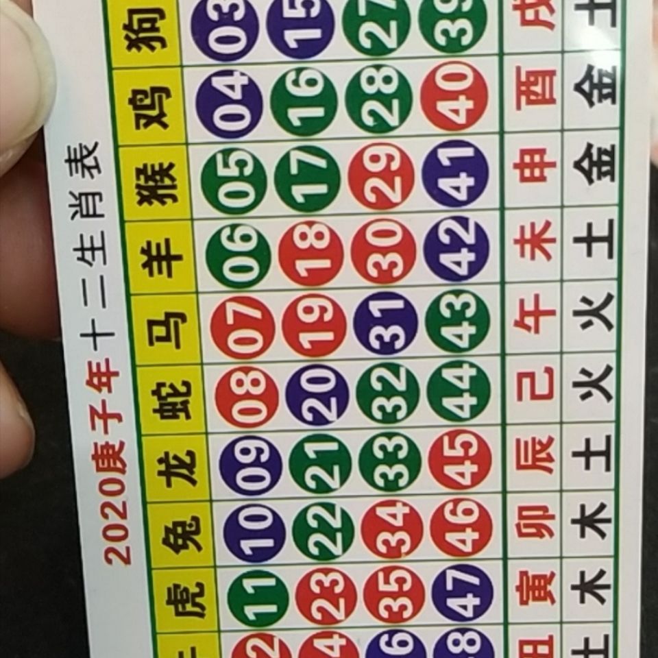 揭秘2025精准免费资料查询生肖表波色表，揭秘生肖表波色表，2025精准免费资料查询指南