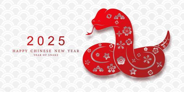 2025新奥天天资料大全,091期，2025新奥天天资料大全第091期详解