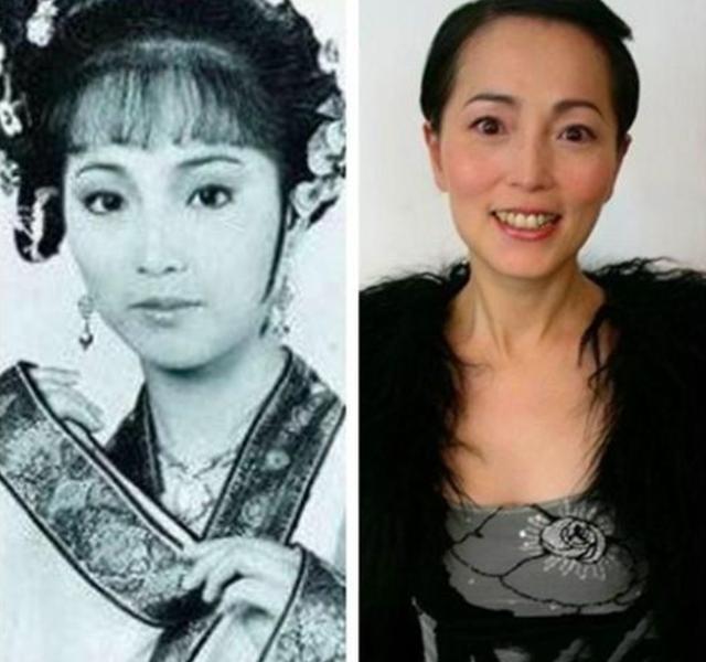 2004新澳门天天开好，2004新澳门天天开好彩开奖记录及分析