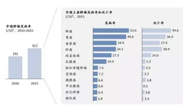 4组三中三内部精准资料有哪些核心功能?，四组三中三内部精准资料核心功能解析