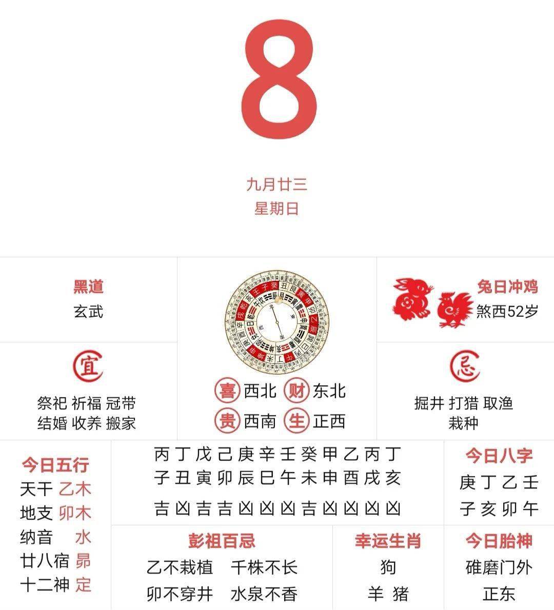 香港二四六开奖资料大全与十二生肖马对照解析，香港二四六开奖资料大全与生肖马对照解析指南