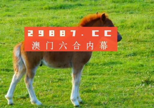 新澳门一肖一码中恃，探索与解读，澳门新一期一肖一码解读与探索