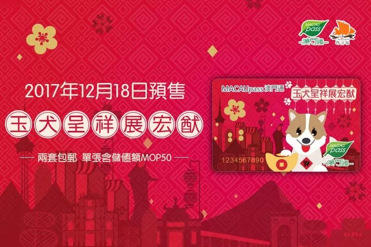 澳门正版资料大全资料生肖卡的奥秘与魅力，澳门正版资料大全，生肖卡的奥秘与魅力