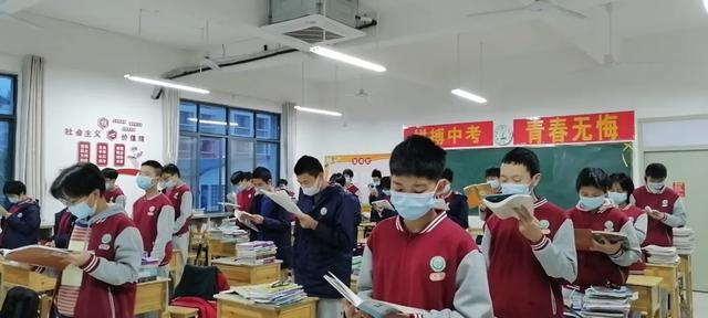 二四六天天免费资料结果今天井几号，一网打尽所有资源，一网打尽所有资源，今日井号与免费资料一网打尽