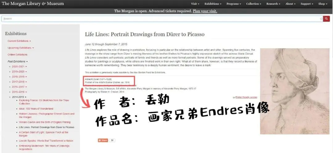 王中王资料大全与凤凰艺术，深度探索相关书籍的奥秘，王中王资料大全与凤凰艺术，深度挖掘相关书籍的奥秘