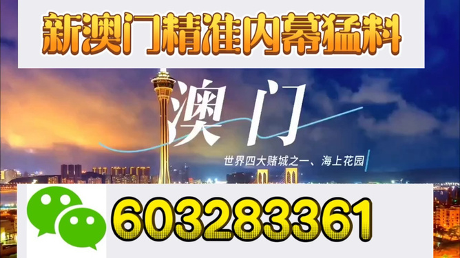 揭秘4949澳门今晚开奖，热门网络语言下的彩票热潮，揭秘彩票热潮，4949澳门今晚开奖与热门网络语言的交织