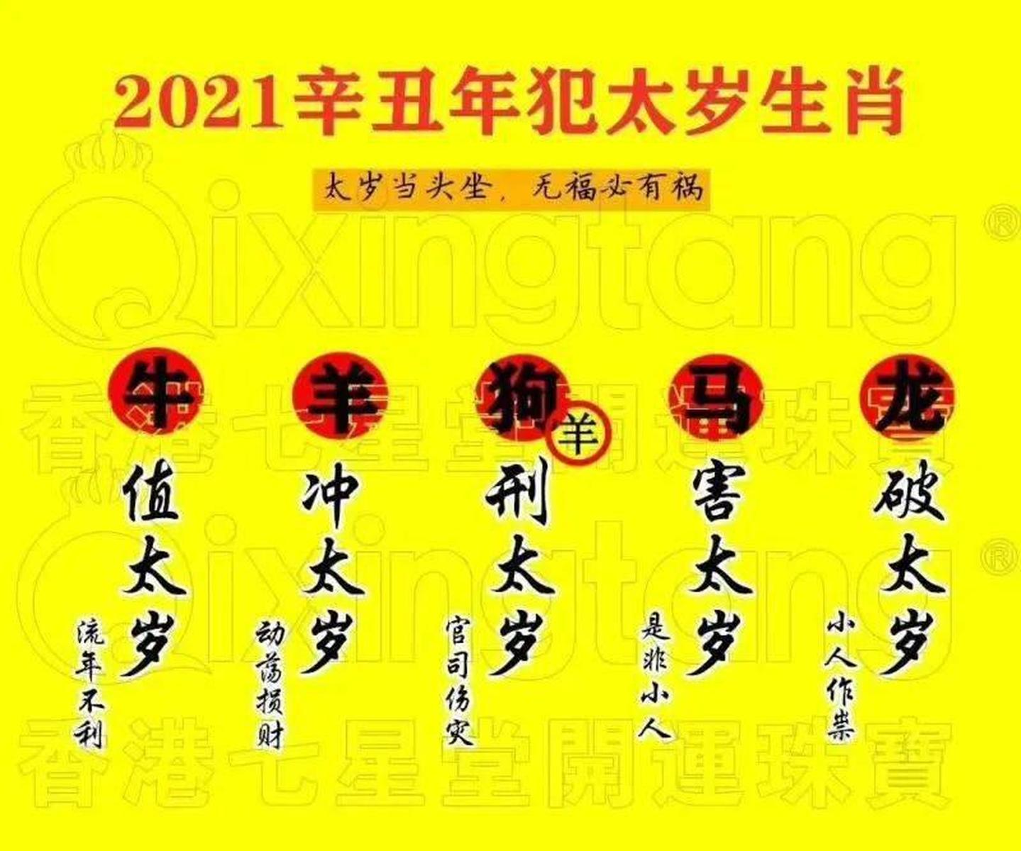 WW777766香港马会总纲，探索赛马世界的魅力，WW777766香港马会总纲，探索赛马世界的无限魅力
