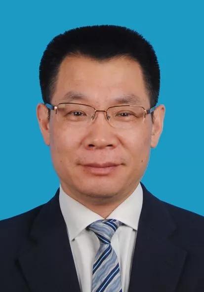 新奥资料网站2024，新奥资料网站2024概览
