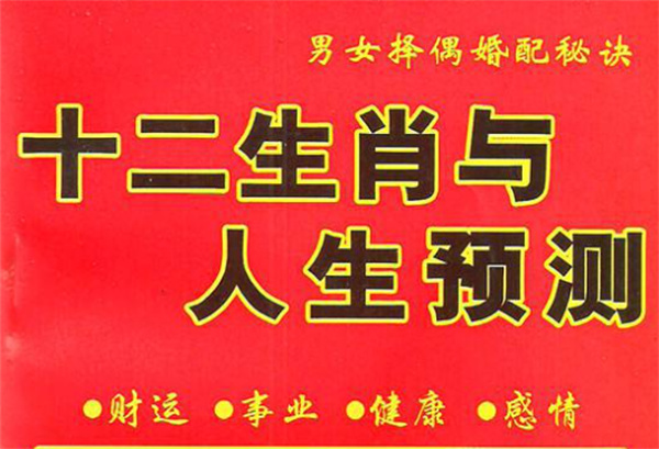 婆家一肖一码100中的生肖揭秘，婆家一肖一码揭秘，生肖中的幸运密码与中奖秘密