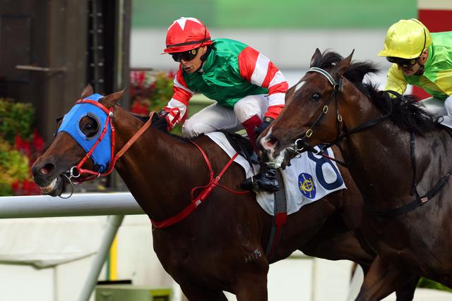 香港正版特马资料，香港正版特马资料揭秘