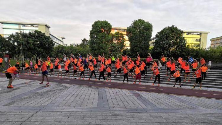 香港59期特马开什么号，香港第59期特马号码揭晓