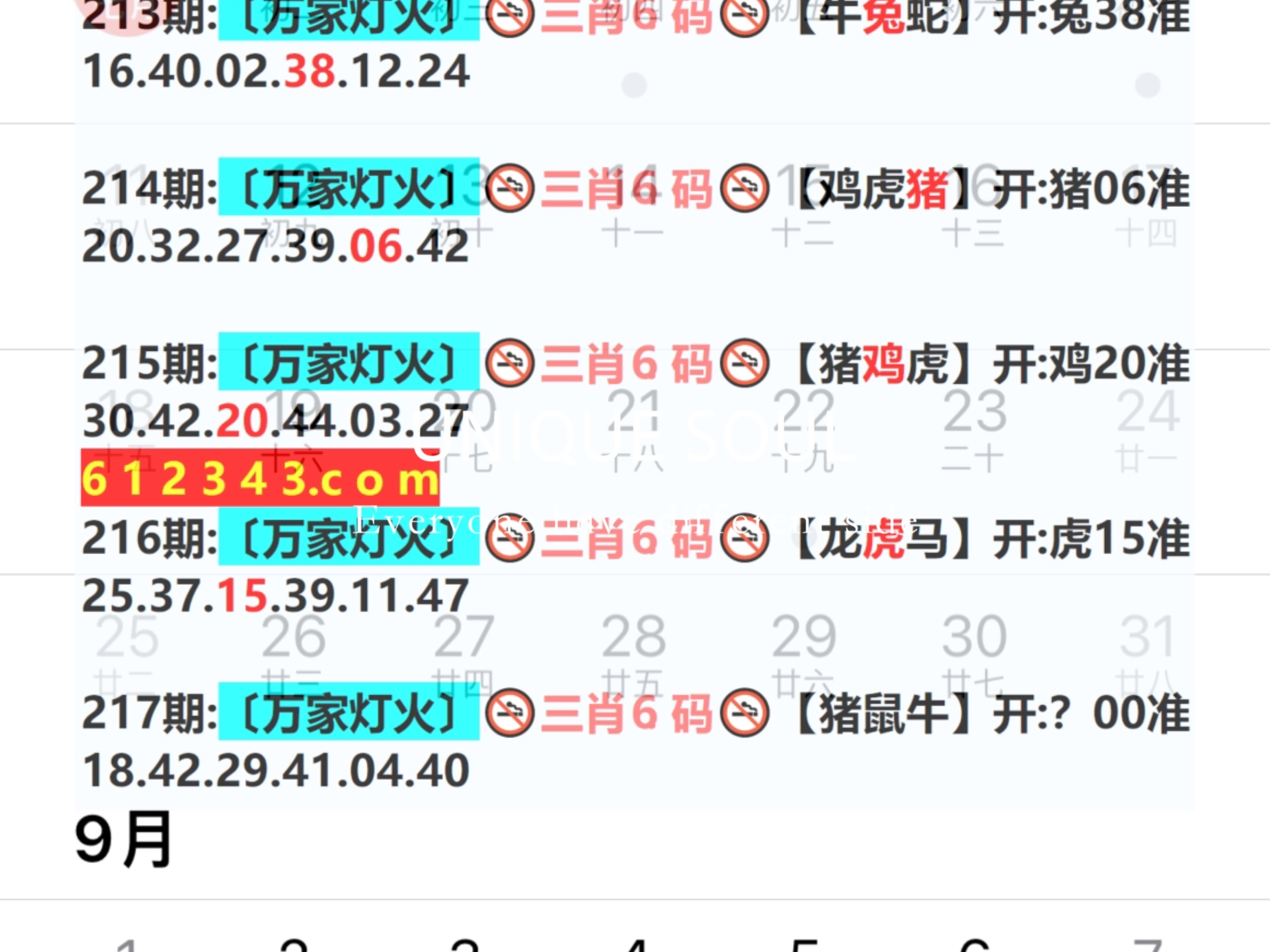 蓝月亮四肖八码免费资料查询，蓝月亮四肖八码免费资料查询揭秘