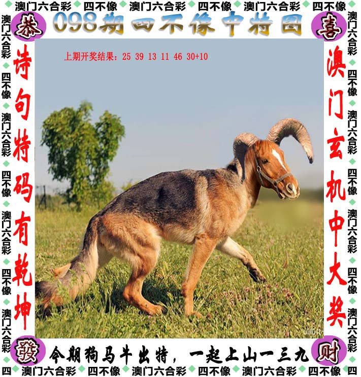 揭秘，929219cc四不像幽默图背后的故事，揭秘四不像幽默图背后的故事，探寻数字背后的趣味世界
