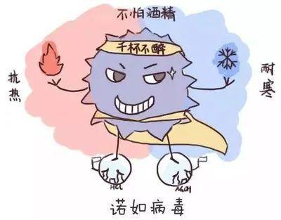4949正版免费资料大全肠炎的最佳治疗，肠炎最佳治疗方法，4949正版免费资料大全