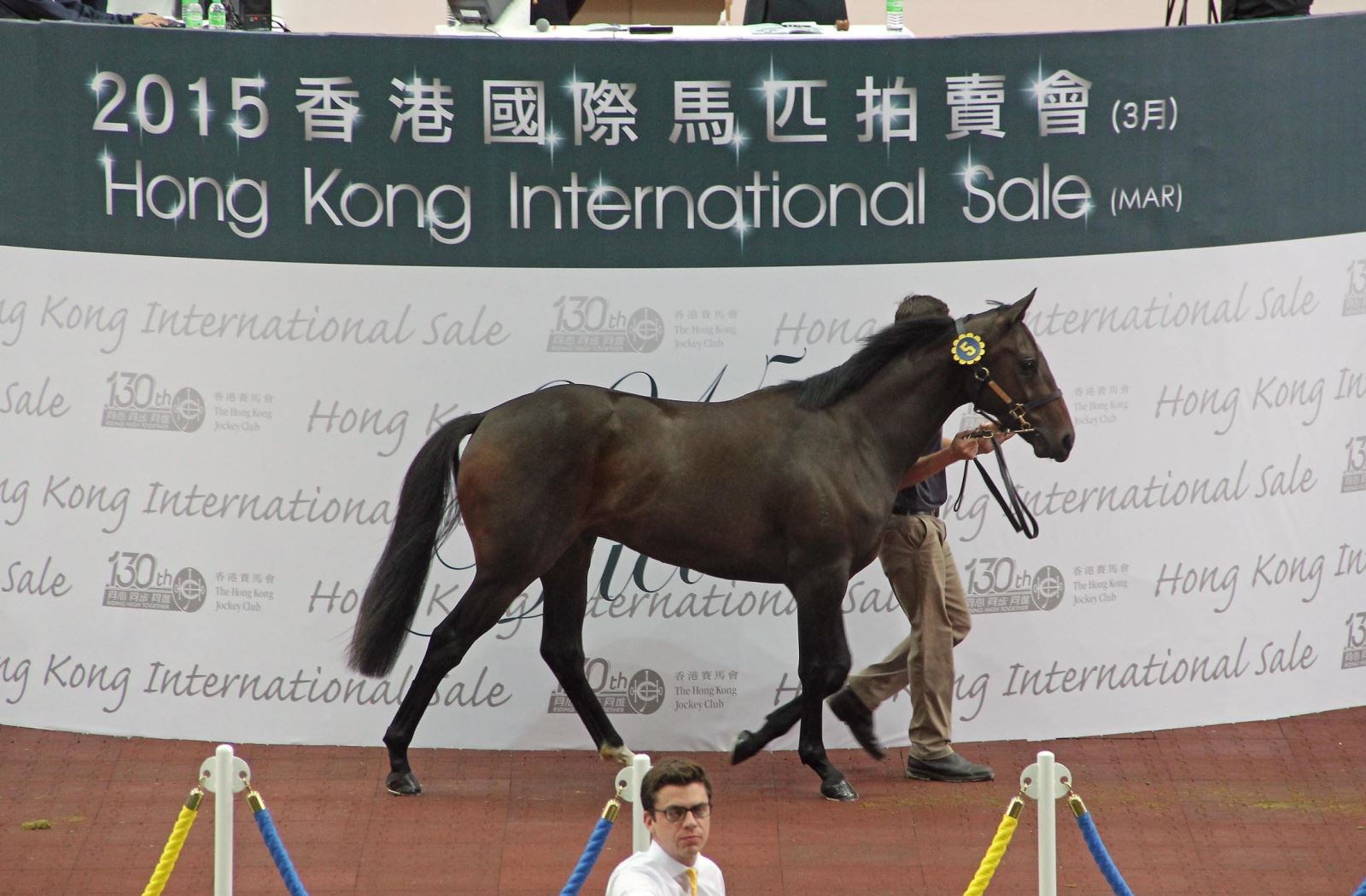 香港内部马料，深度解析其内涵与影响，香港马料内涵深度解析及其影响