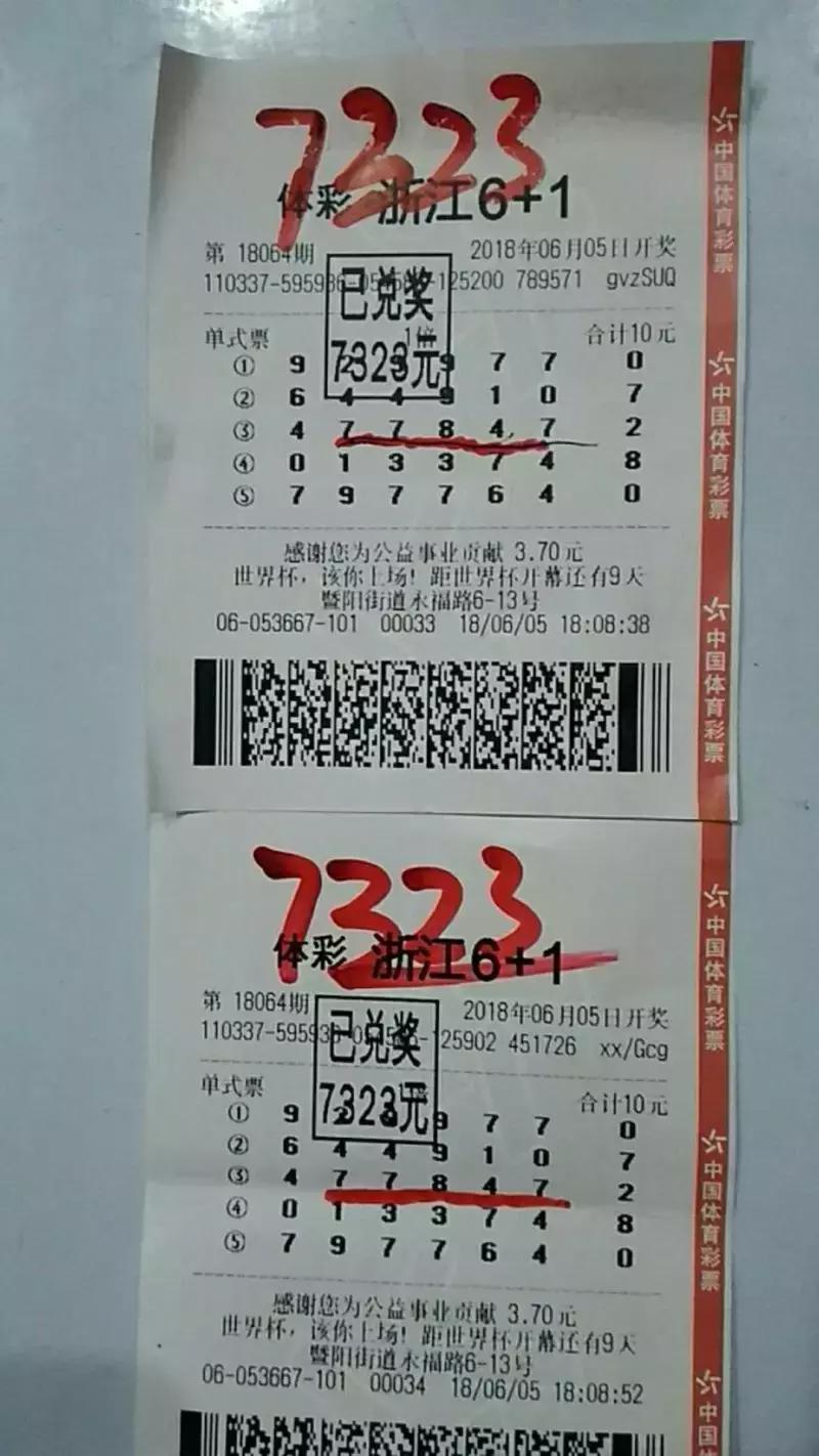 揭秘香港港六开奖结果，今日号码预测与解析，揭秘港六开奖结果，今日号码预测详解