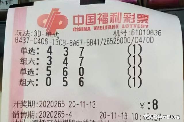 澳门马会传真265期，探索赛马文化的新篇章，澳门马会传真第265期，揭开赛马文化新篇章的神秘面纱