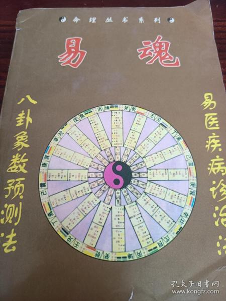 易魂新资料，易魂新资料概览