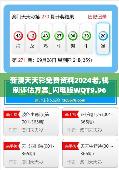 新澳2024年019期资料详解，新澳2024年019期资料全面解析