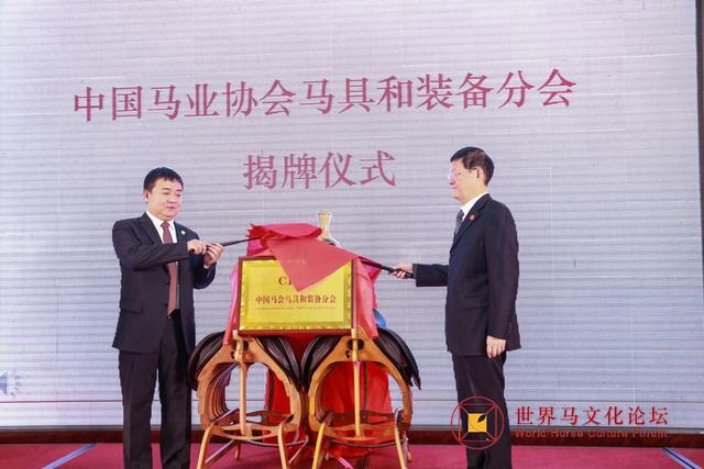 13297马会传真论坛，独家揭秘，马会传真论坛深度解析与探讨