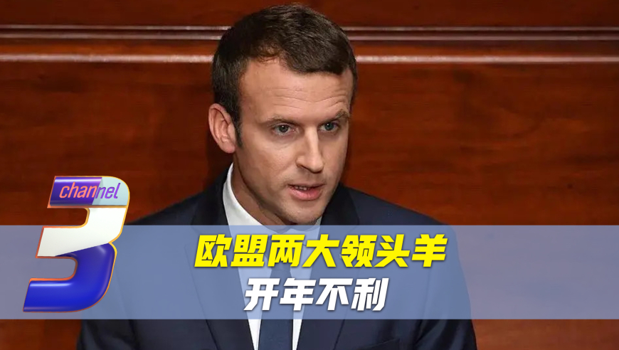 香港今晚必开一肖一特，揭秘生肖彩票的魅力，揭秘生肖彩票魅力，香港今晚必开一肖一特
