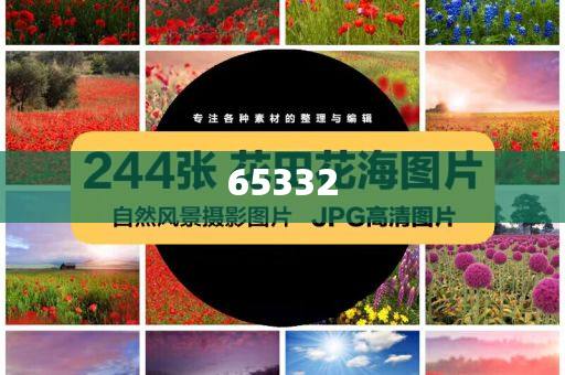 正版资料2025年澳门免费，正版资料澳门免费大放送（2025年）