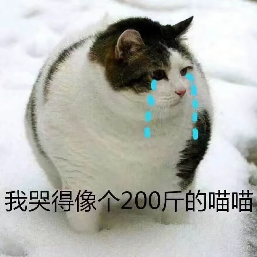 澳门一码一肖一待一中四不像的奥秘，澳门一码一肖一待一中四不像的奥秘揭秘