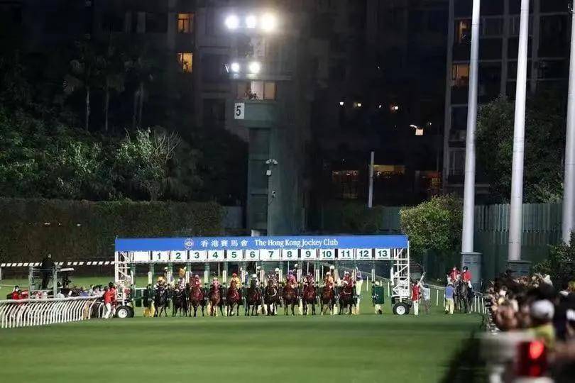 香港今晚马坛风云再起，探寻特马踪迹，香港特马风云再起，探寻今晚马坛的神秘踪迹