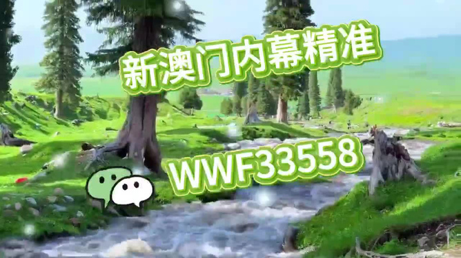 新奥今天开的什么，一探究竟，新奥今日开业揭秘，一探究竟