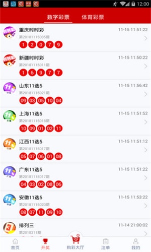 王中王493333今晚开奖，期待与惊喜交织的时刻，王中王493333今晚开奖，期待与惊喜交织的幸运时刻