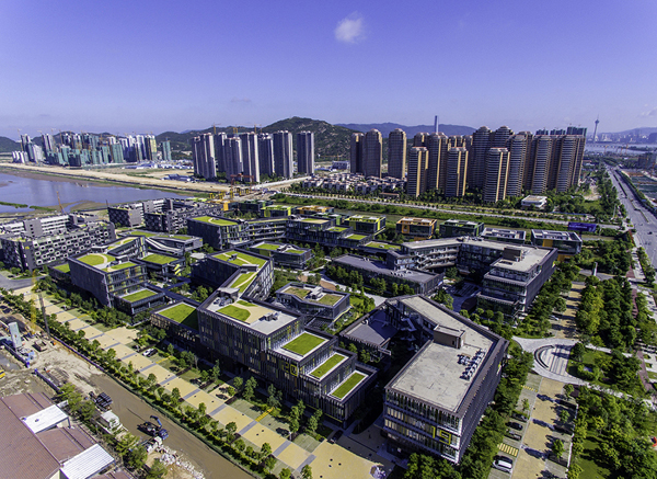 探索未来之门，2025芳草地新澳门网站，探索未来之门，澳门新网站展望2025芳草地风采