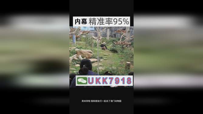 今晚澳门开奖结果2025全解析，澳门开奖结果2023年全解析及预测
