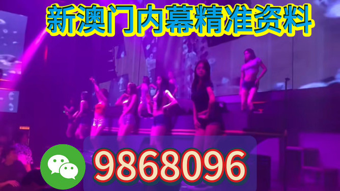 探索未来，2025年澳门特马之夜，探索未来，澳门特马之夜 2025展望