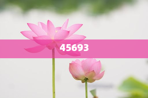 揭秘7777888888精准新管家，数字时代的智能服务革新，数字时代革新，揭秘精准新管家7777888888的智能服务