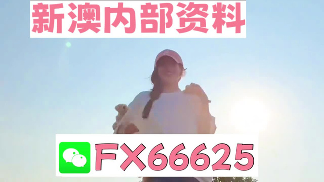 7777788888管家婆一肖码，管家婆一肖码精准预测，揭秘数字组合的秘密