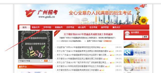 新奥门正版免费资料怎么查，澳门正版免费资料查询指南