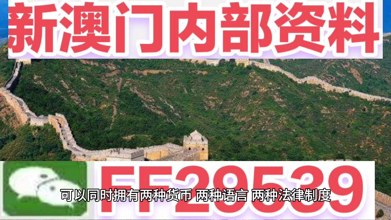 新澳门今晚开奖结果查询—全面解读与实时关注，澳门今晚开奖结果实时查询与深度解读