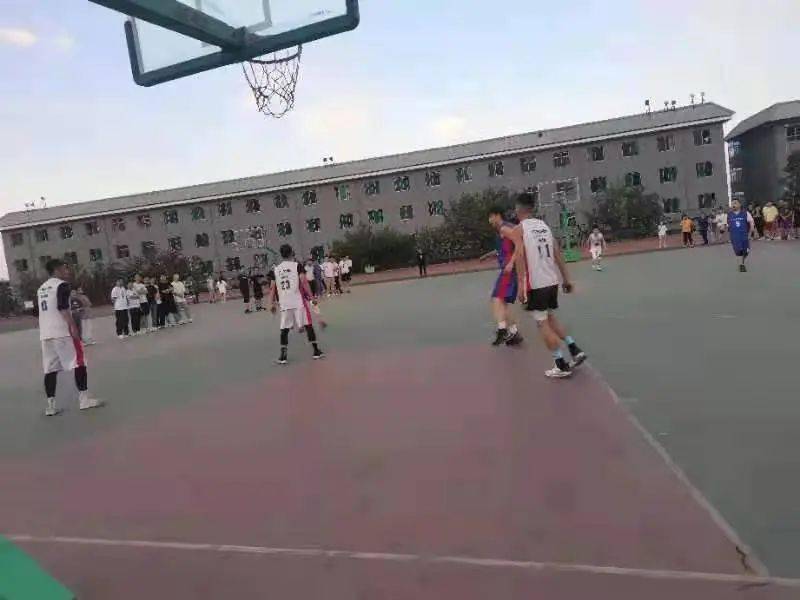 澳门二四六天下彩天天免费大全，澳门二四六天下彩免费大全揭秘
