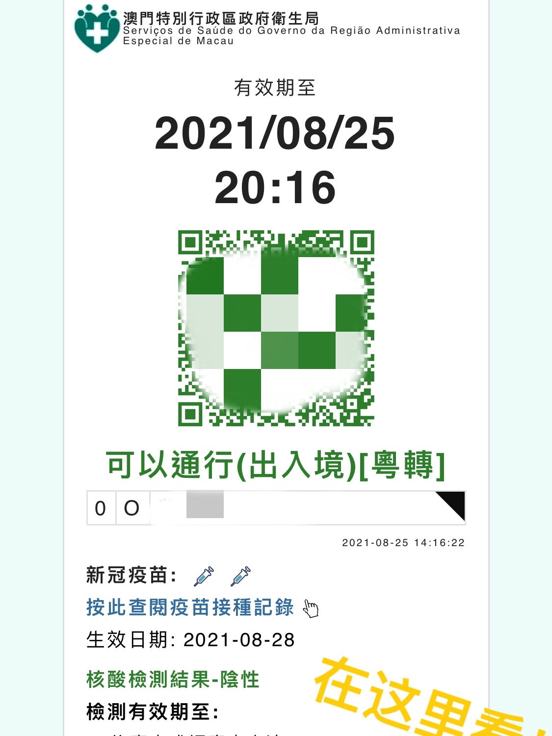 澳门旅游最新政策解读，澳门旅游最新政策解读与解析
