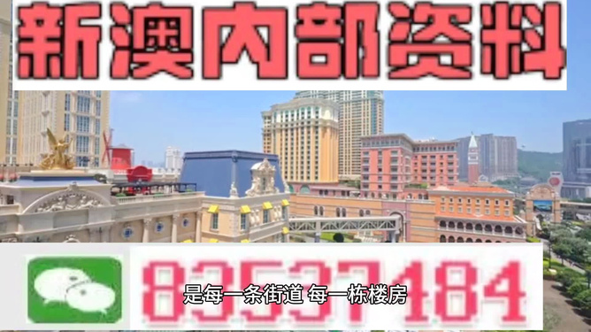 新澳门全年免费资料大揭秘，澳门全年免费资料大揭秘，一网打尽所有信息