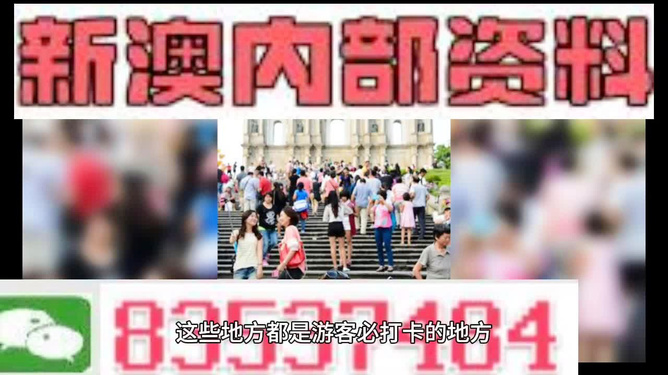新澳精准资料免费提供，探索第265期的奥秘与价值，新澳第265期精准资料揭秘，探索奥秘与价值
