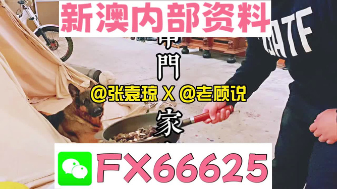 澳门正版资料大全管家婆，探索与解读，澳门正版资料大全管家婆，深度探索与解读