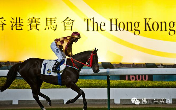 香港赛马会