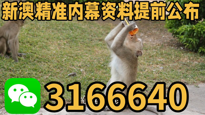 2025今晚澳门开特马四不像，澳门今晚特马四不像揭晓，2025年独家预测